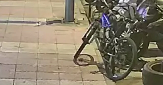 Motosiklet hırsızlığı şüphelisi 120 güvenlik kamerası incelenerek yakalandı Manisa Haberleri Habertürk Yerel Haberler