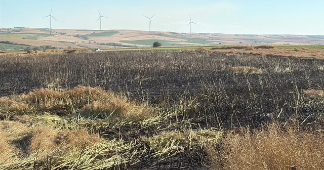 Tekirdağ da 60 dönüm buğday ve kanola ekili alan yangında zarar gördü Tekirdağ Haberleri Habertürk Yerel Haberler