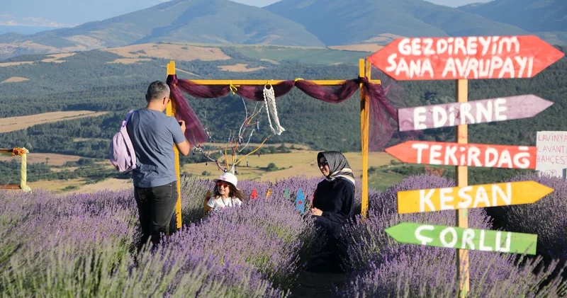 Tekirdağ ın lavanta bahçeleri ziyaretçilerini ağırlıyor