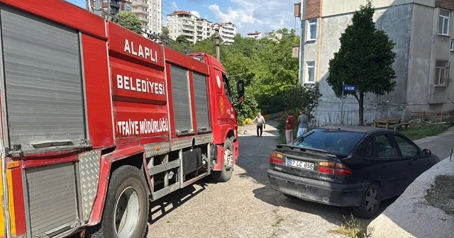 Alaplı da alev topuna dönen piknik tüpü korkuttu Zonguldak Haberleri Habertürk Yerel Haberler