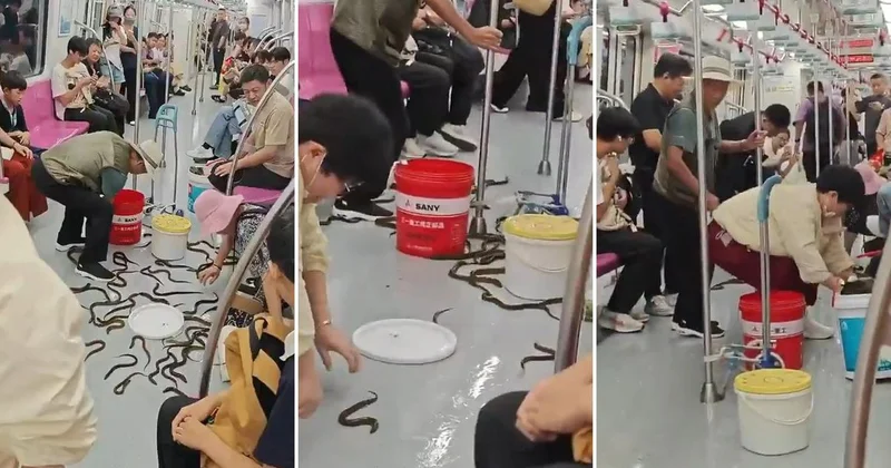 Metroda yılan paniği! Gerçek ortaya çıkınca yolcular neye uğradığını şaşırdı