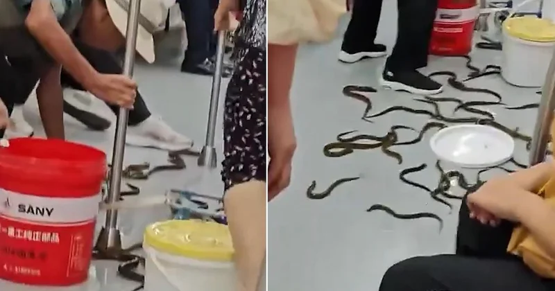 Metroya onlarcası saçıldı, ortalık karıştı