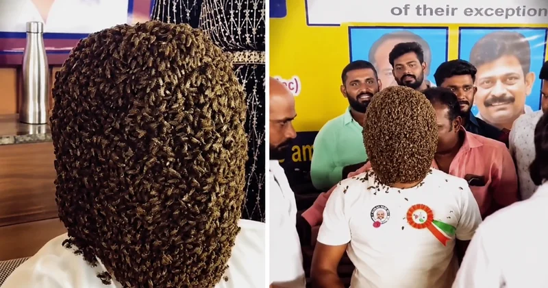 Binlerce arı yüzünü kapladı! 5 saat boyunca kıpırdamadan bekledi