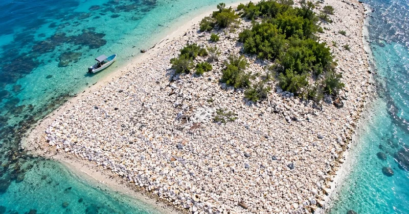 Deniz kabukları birike birike 3 bin metrekarelik adaya dönüştü Sözcü Gazetesi