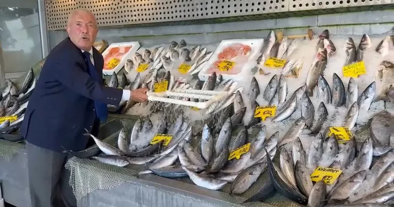 Hamsi ve palamut tezgahları doldurdu! 3 yıldır fiyatları değişmiyor
