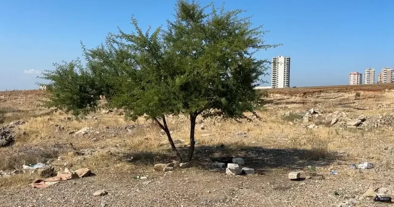 Adana da genç şahıs boş arazide ölü bulundu