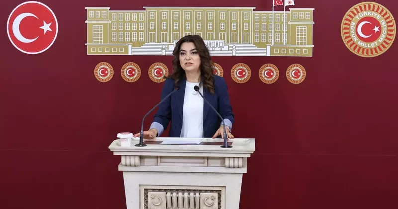 DEM Parti Irak, Suriye ve Lübnan tezkelerine Hayır oyu verecek