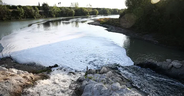 Adana da balık ölümleri görülen Ceyhan Nehri nde inceleme başlatıldı