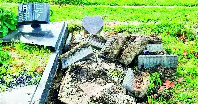 Almanya’da Müslüman mezarlığı tahrip edildi Dünya Haberleri