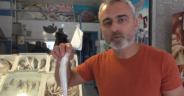 İskenderun Körfezi nde jumbo karides bolluğu, fiyatları düşürdü Hatay Haberleri
