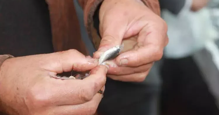 Fiyatı peynir ekmek kadar ucuzladı! Sevinçten çiğ et yediler....