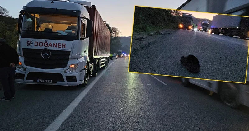 Otoyolda acı olay: Genç sürücüye lastik değiştirirken TIR çarptı