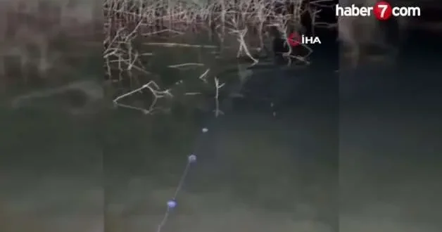 Halfeti de su samuru görüldü