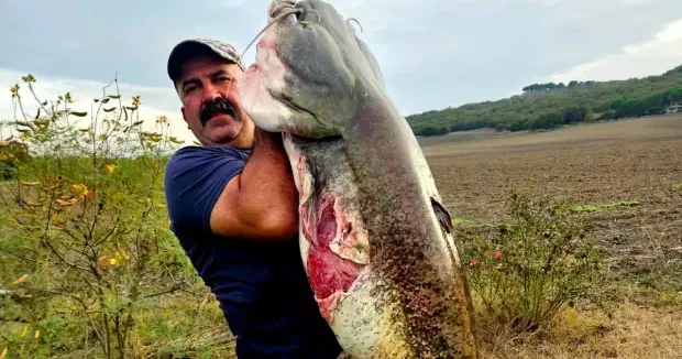 Tekirdağ haberleri Boyundan büyük balık yakaladı, kilosunu öğrenince sevinçten havalara uçtu 20 Ekim 2025