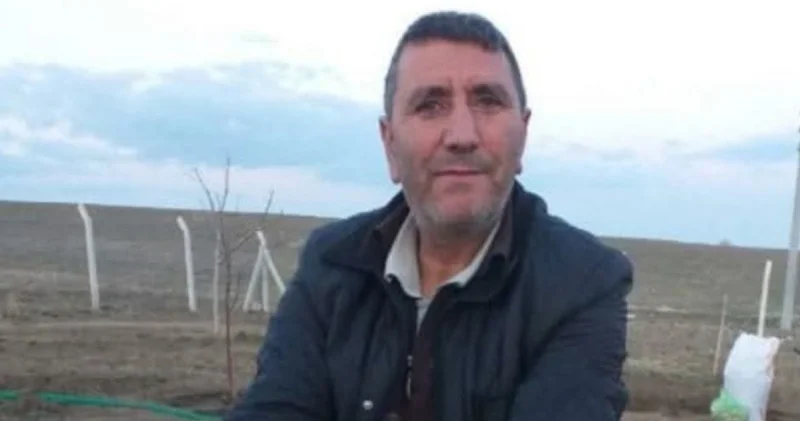 Feci kaza! Kesilen ağaç üzerine düştü! Son dakika haberleri
