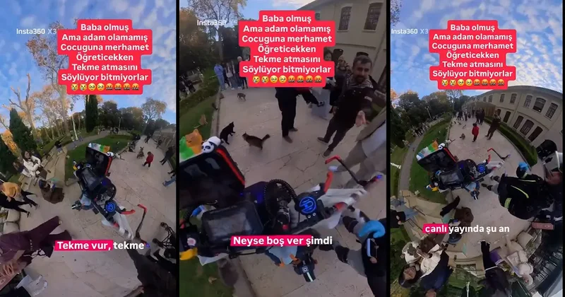 Gülhane Parkı’nda skandal görüntüler: Kedilere tekme atmayı babasından öğrendi!