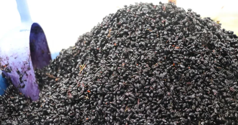 Birçok derde deva! Sadece bir ay tüketiliyor!