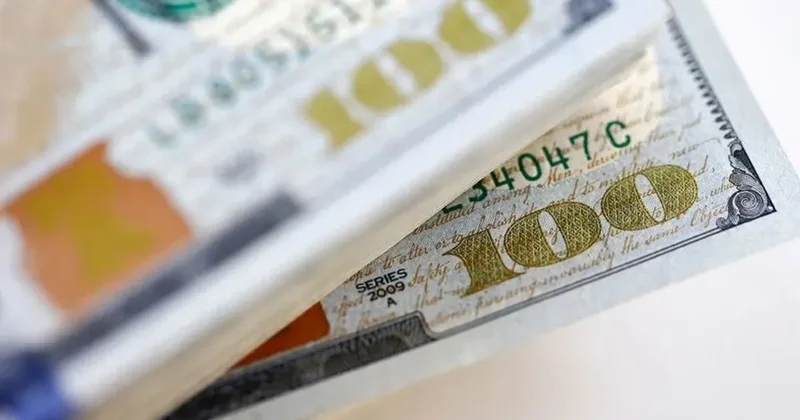 Türkiye, ESG ihraçlarından yüzde 11,7 pay aldı