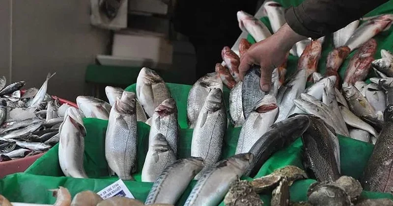 Eczanelerdeki takviyelere servet dökmeyin diye liste yapmışlar: En çok Omega 3 bu 2 balıkta varmış Sözcü Gazetesi
