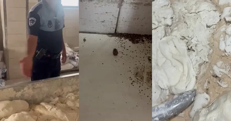 İskenderun da mide bulandıran fırın! Hamam böceği, sigara izmariti..