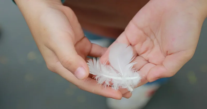 Beyaz tüy görmenin meğer böyle bir anlamı varmış Sözcü Gazetesi