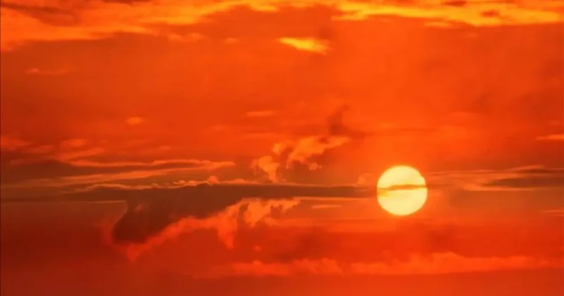 Sıcaklıktan ölüm rekoru! BM vahim tabloyu açıkladı