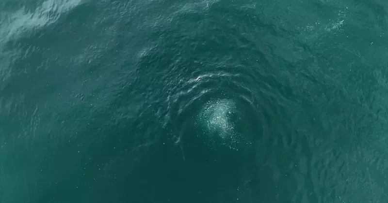 Sapanca Gölü fay hattı boyunca fokur fokur kanıyor! Prof. Dr. Üşümezsoy Asıl tehlike diyerek uyarmıştı