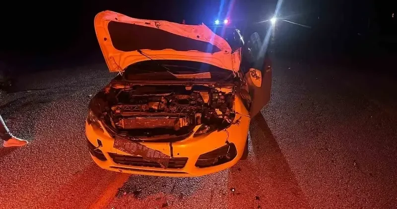 Otomobilin çarptığı dana olay yerinde telef oldu Çorum Haberleri