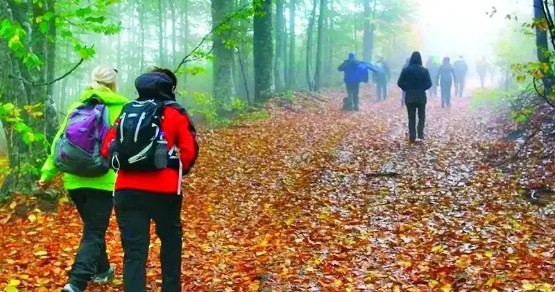 Fırtınada yürüyüş yapan 5 turist öldü Dünya Haberleri
