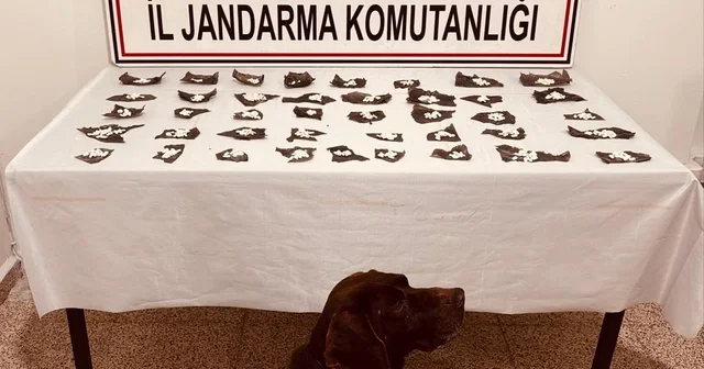 Kapsülün içinden ilaç yerine uyuşturucu çıktı Van Haberleri