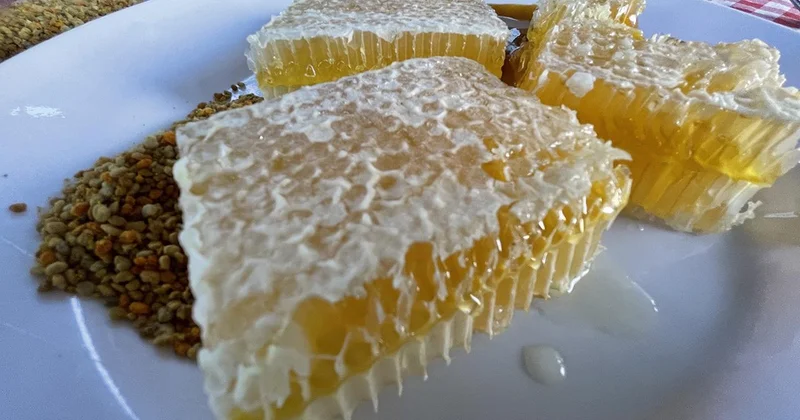 Türkiye’nin AB tescilli coğrafi işaret sayısı 43’e yükseldi