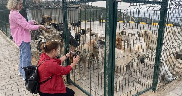 Alaşehir de 30 dönümlük doğal yaşam alanı açıldı Manisa Haberleri
