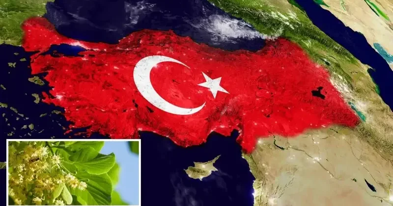 Türkiye nin lezzetleri Avrupa ya damga vurdu: Bir ürün daha coğrafi işaret tescili aldı Gündem Haberleri