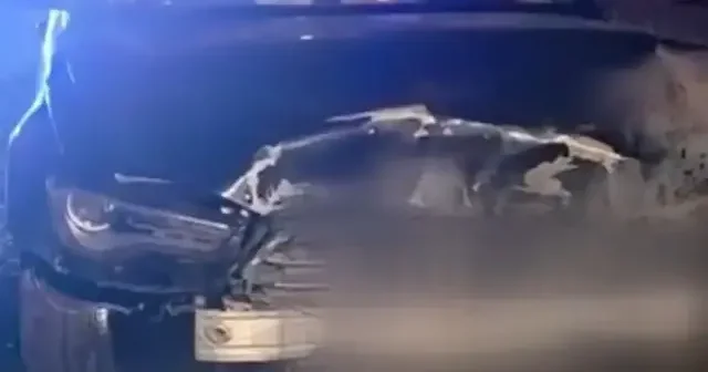 Sinop Belediye Başkanı nın aracı domuz sürüsüne çarptı VİDEO İZLE