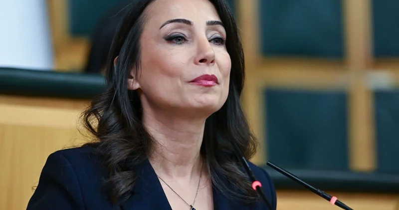 CHP nin İmralı toplantısı öncesi DEM den dikkat çeken çağrı