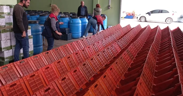 Didim de organik zeytin ve zeytinyağı üretim alanları denetlendi Aydın Haberleri