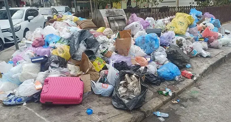 Karasinek popülasyonunda sıcaklık ve çöp etkisi