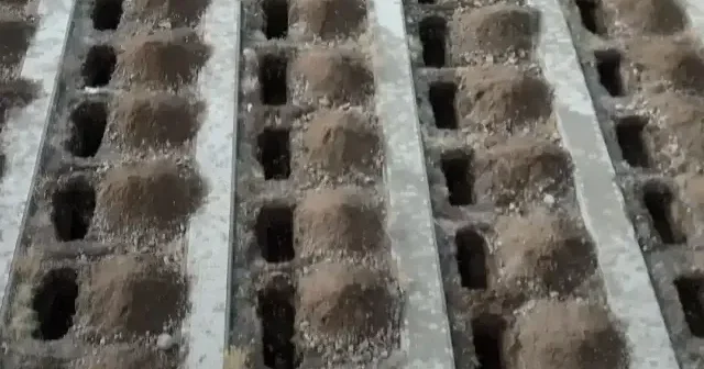 Erzurum da 500 mezar kazıldı: Sebebini duyanlar şoke oldu VİDEO İZLE