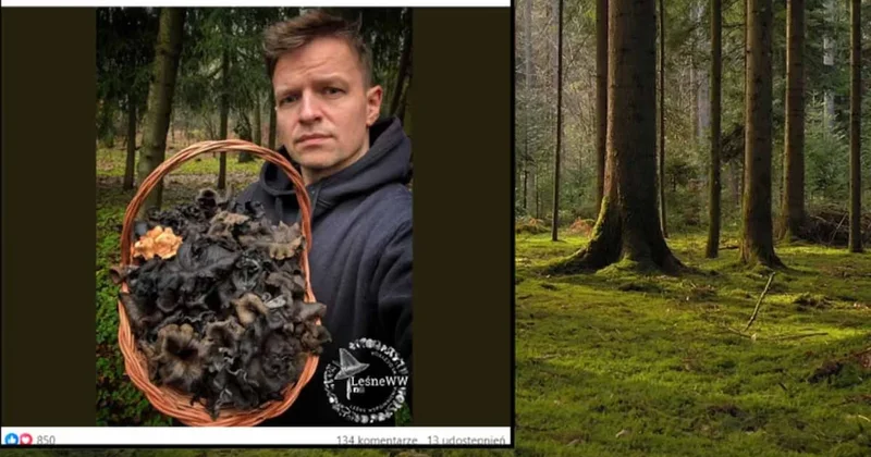 Ormanda kara altın buldu: Görenler şaşkınlığını gizleyemedi Sözcü Gazetesi