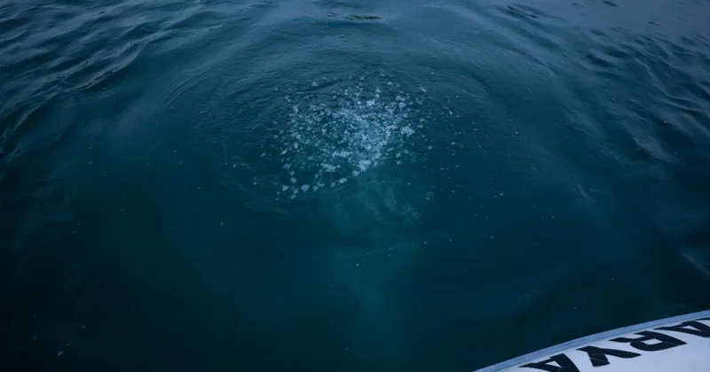 Sapanca da oluşan kabarcıkların su kalitesine zarar vermediği belirlendi