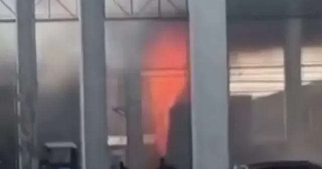 Bursa’da palet fabrikası alevlere teslim oldu VİDEO İZLE