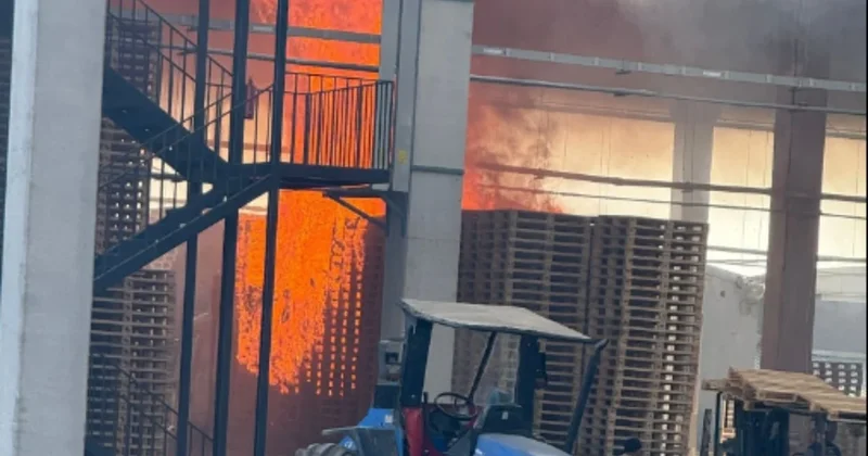 Bursa da palet fabrikasında yangın Sözcü Gazetesi