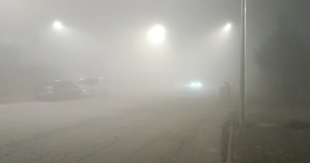 Batman da yoğun sis; görüş mesafesi 5 metreye kadar düştü Batman Haberleri
