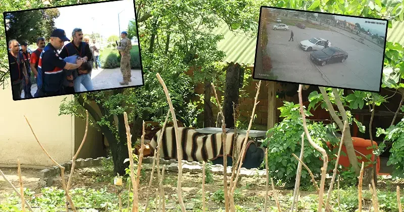 Bağ evi patlamasının tanığı: Patronumu piknik tüpü ve demir parçalarıyla gördüm