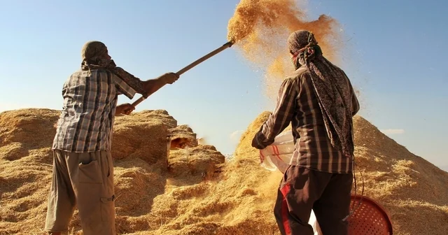 Tarım GFE yıllık yüzde 34,60 arttı Bayburt Haberleri