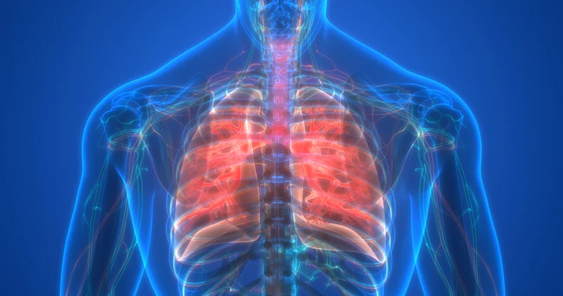 Sigaradan ve pasif içicilikten uzak durmak KOAH tan koruyor Sağlık Haberleri