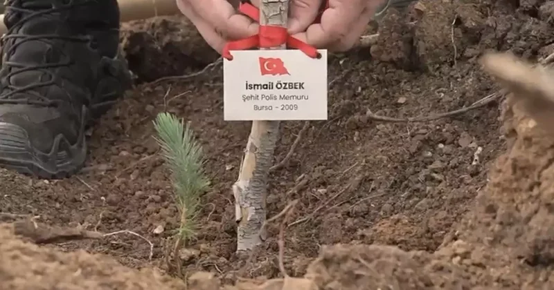 Bursa’da şehitler anısına fidan dikildi