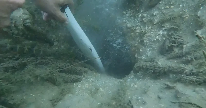 Prof. Dr. Şener Üşümezsoy ‘asıl tehlike demişti: Sapanca Gölü ndeki kabarcıklar akılları karıştırdı!