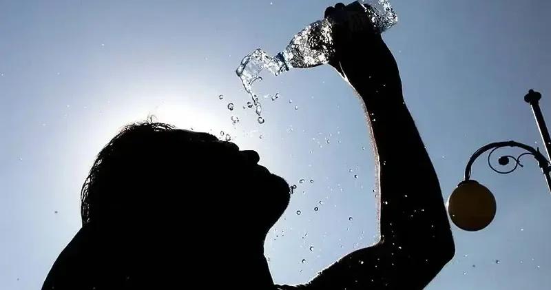 BM: Sıcaklığa bağlı ölüm oranı 1990 lardan bu yana yüzde 63 arttı Dünya Haberleri