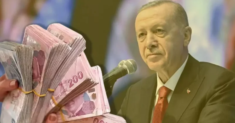 Vatandaşlık maaşı nedir, kimlere verilecek?